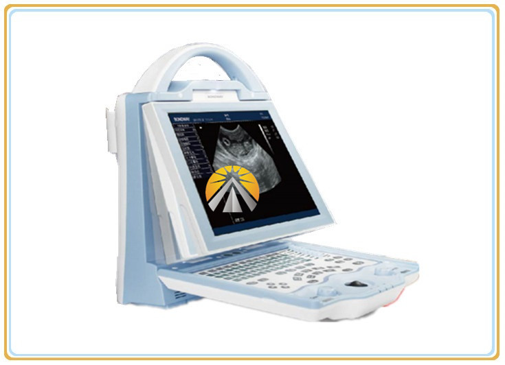 China High Resolution Portable Ultrasound Machine For Veterinary Animal 256*150*326mm Size on sale