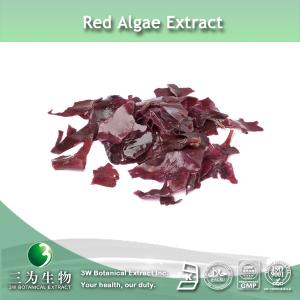 Best Red Alga Extract wholesale