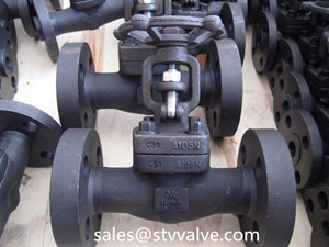 ASTM A105 Flanged Gate Valve, 3/4 Inch, 1500LB