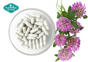 China Red Clover Extract ( Trifolium Pratense ) Capsules for Menopause Support on sale