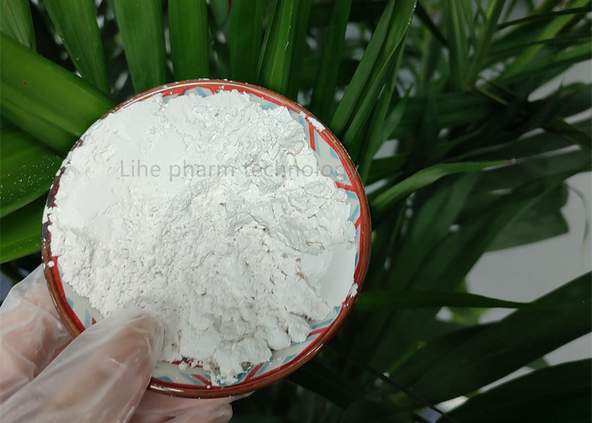 China Pharma Raw 5449-12-7 Sodium Salt BMK Powder 99.9% C10H9NaO3 on sale