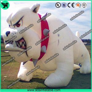 Best Event Inflatable Dog, Party Inflatable Dog,Event Inflatable Dog Cartoon wholesale