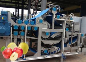 Best Safety SUS 304 Apple Processing Equipment  Apple Puree Processing Plant wholesale