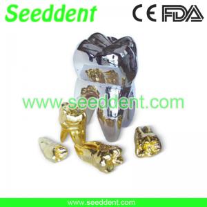 Best Gilded silver tooth wholesale