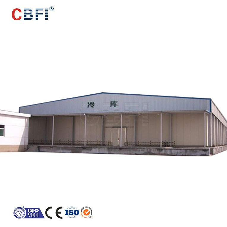 China 500-1000 Tons Fruits And Vegetables Freezer Cold Room with Swing door on sale
