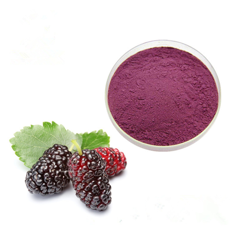 China Natural Mulberry Fruit Extract Anthocyanin CAS 84082-34-8 100% Pass 80 Mesh on sale