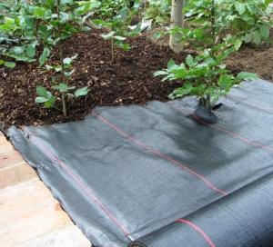 China 100gsm Flower Bed Weed control Matting on sale
