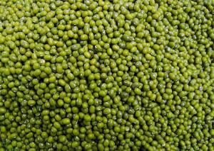 Best 2016crop best quality green mung beans wholesale