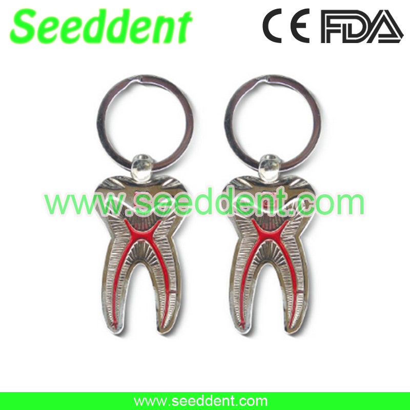 Best Elegant tooth key chain wholesale