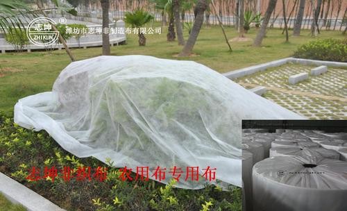 China 100% Polypropylene Agriculture Non Woven Fabric Weed Control Ground Cover Net Mesh Cloth on sale