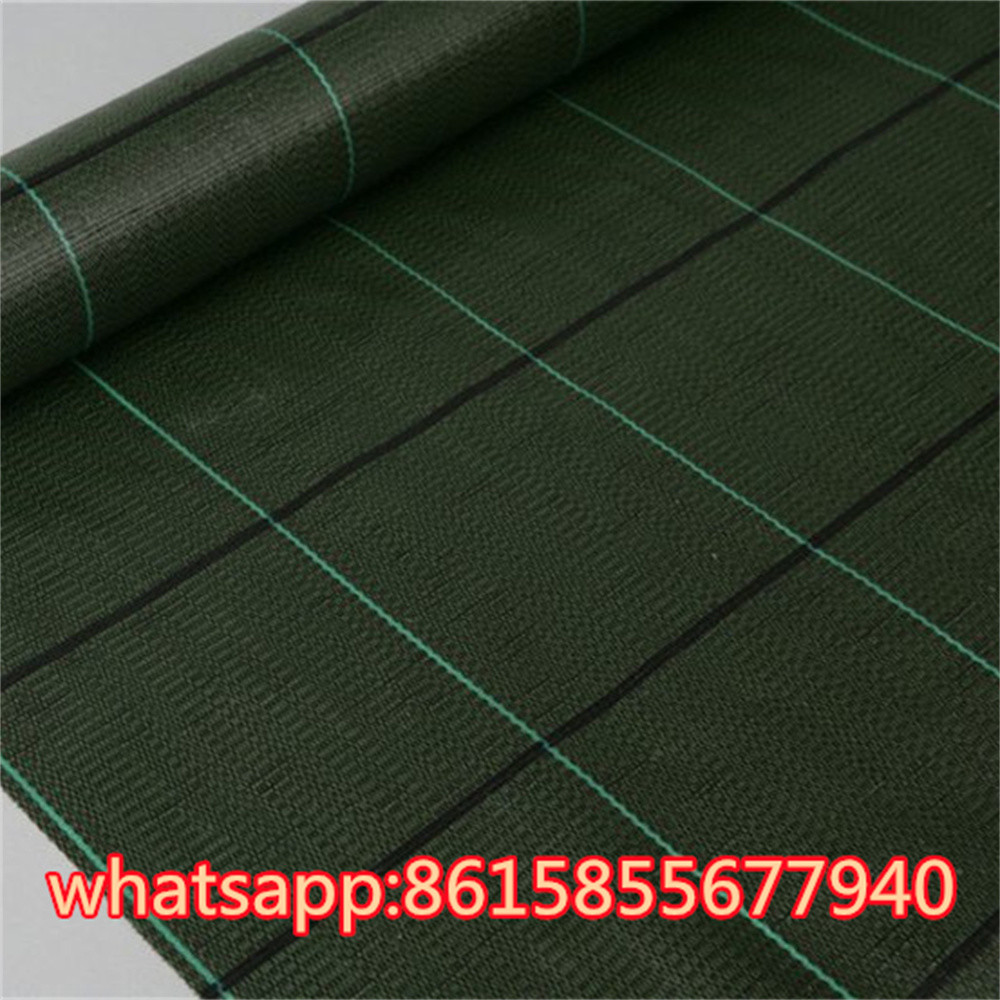 China Agricultural Plastic Fabric In Non Woven Material Anti Weed Mat Weed Fabric Ground Cover Nonwoven Weed Control Fabric on sale
