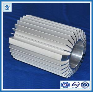 China China famous brand aluminum extrusion heat sink/radiator for LED lights on sale