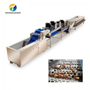 China Drying Sorting Circulating Surfing Fruit And Vegetable Processing Line Apple Tengsheng on sale