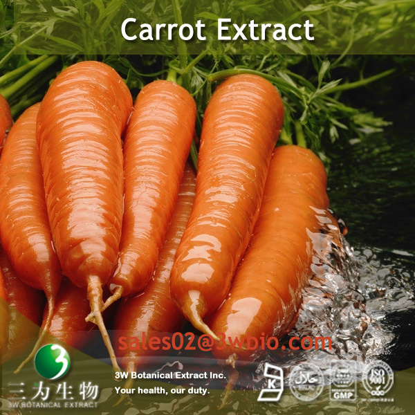 Best Carrot Root Powder Extract wholesale