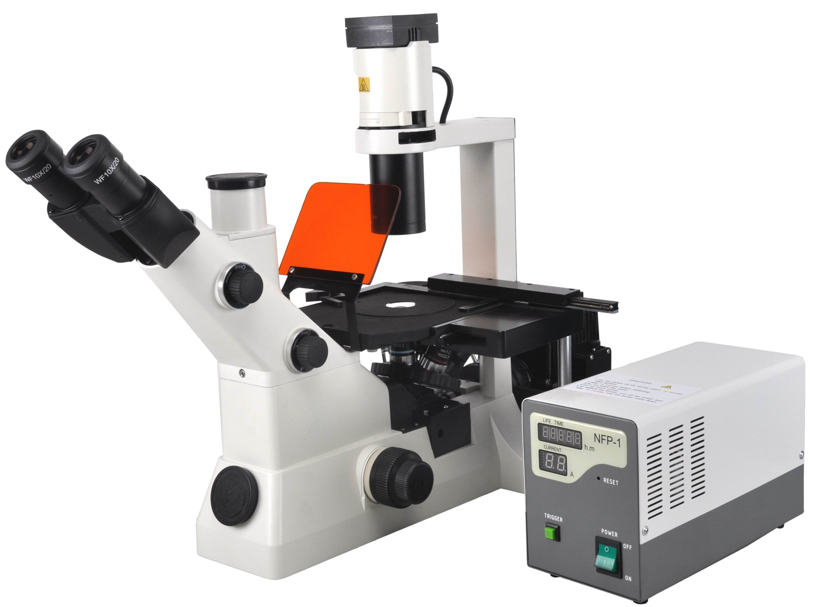 Buy cheap BestScope BS-7020 Inverted Fluorescent Biological Microscope With Infinitive from wholesalers