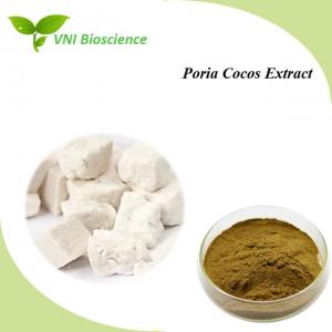China Antiviral Pure Plant Extracts powder Poria Cocos Extract Kosher Certified on sale