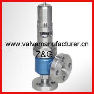 Best Stainless Steel Safety Relief Valve wholesale