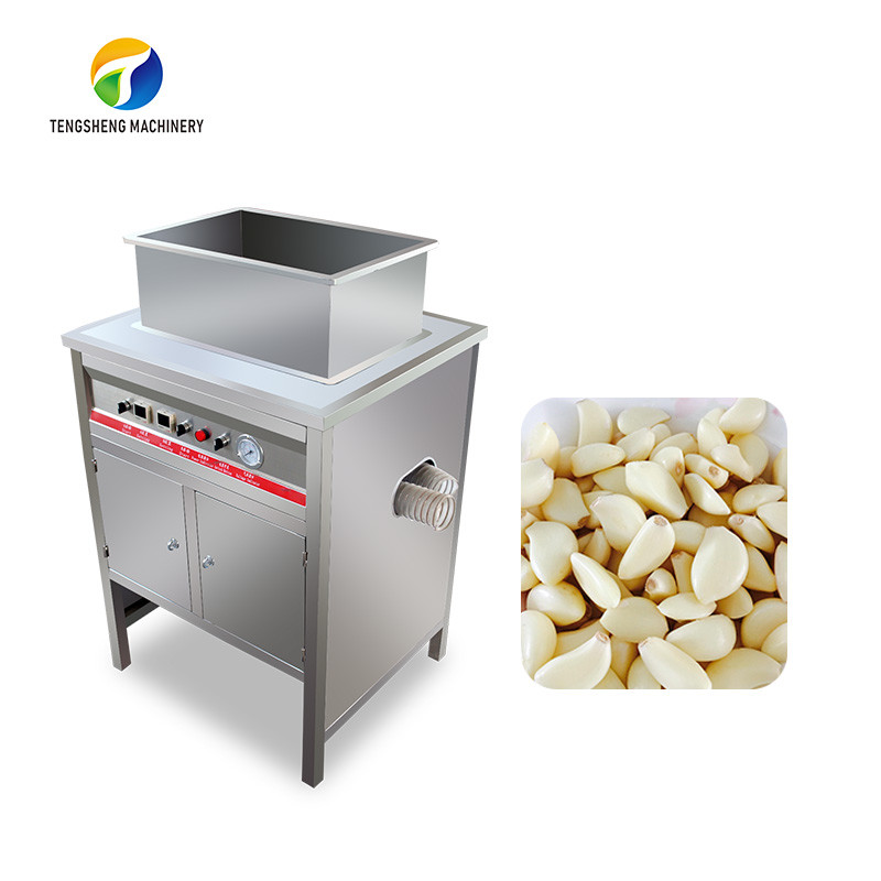 Cheap OEM Electric Garlic Processing Machine Skin Removing Equipment for sale