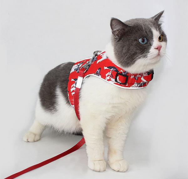 Cheap S M L XL Full Body Cat Harness Reflective Strip Waistcoat for sale