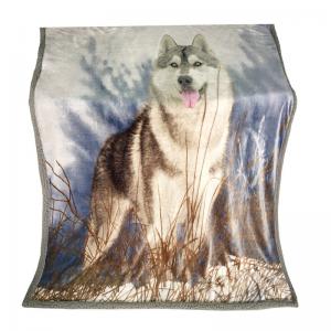 Best Wolf Design Printed Flannel Blanket wholesale