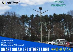 China High Efficiency Solar Panel IP65 Outdoor Solar Street Lights 40watt Bridgelux Chip on sale