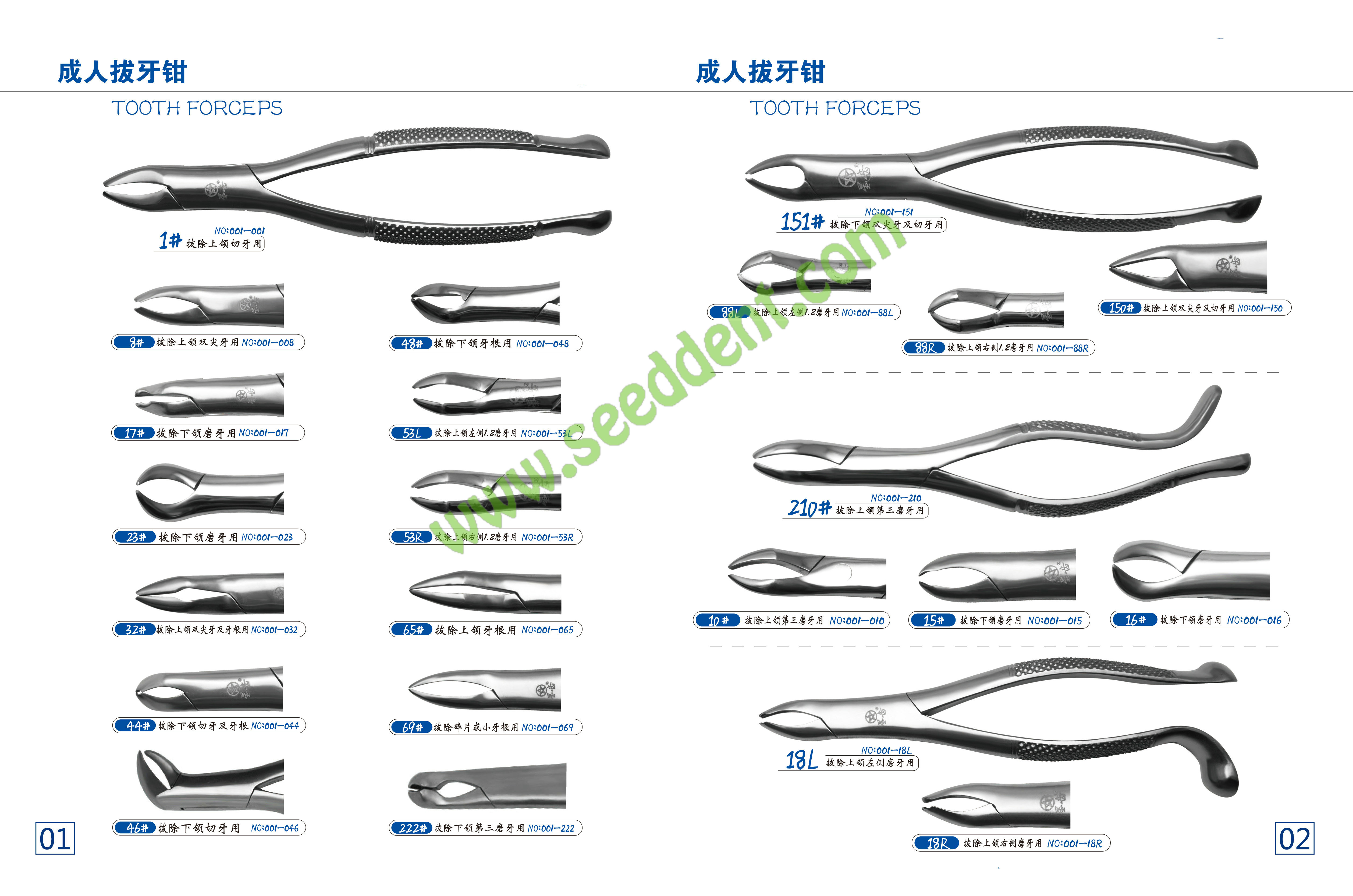 Best Tooth Forceps wholesale