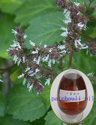 China CP2015 Pharmaceutical grade Patchouli oil on sale