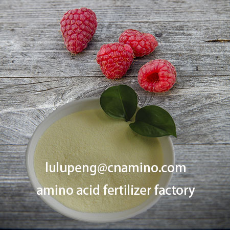 Cheap Amino acid organic foliar fertilizer Alkaline amino acid 52% for sale