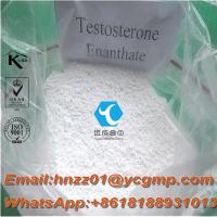 Test enanthate equipoise cycle results