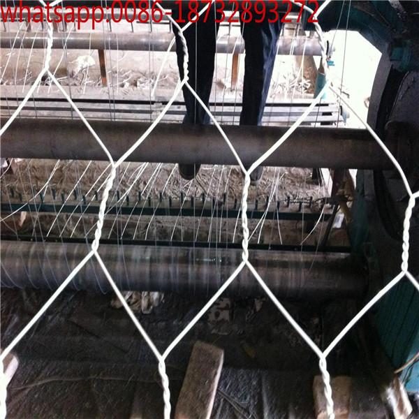 hexagonal small hole chicken wire mesh poultry wire 1/2 hex galvanized /PVC coated wire mesh supplier