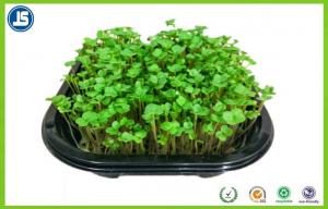 Plant Growing Plastic Seedling Tray Blister Packaging Tray For Greenhouse