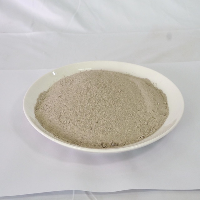 China Alumina Magnesia Gunning Castable Steel Ladle Castable Material on sale