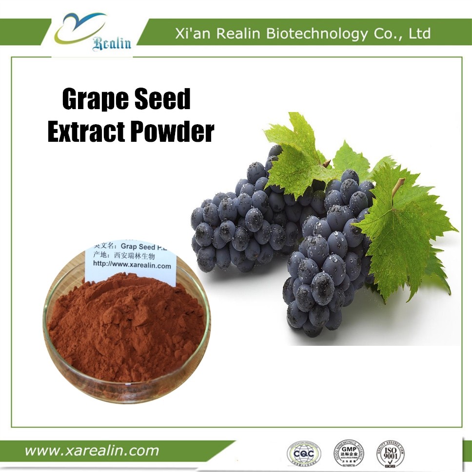 Best Best Quality Skin Care Cosmetic Indregients Grape Seed Extract Powder Procyanidins OPC wholesale