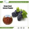 Buy cheap Best Quality Skin Care Cosmetic Indregients Grape Seed Extract Powder Procyanidi from wholesalers