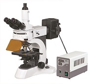 Best BestScope BS-7000A Excellent Upright Fluorescent Microscope wholesale
