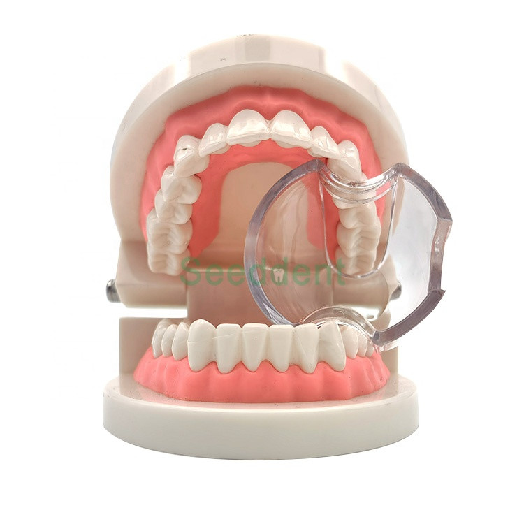 Best 2021 New Dental Supply Plastic Disposable Lip Opener Intraoral Orthodontic Cheek Retractor Mouth Opener SE-U027/SE-U028 wholesale