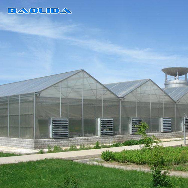 China Commercial Polycarbonate Sheet Greenhouse / PC Sheet Greenhouse Customized Material on sale