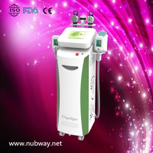 Equipment cryolipolysis / cryolipolysis vacuum slimming beauty machine with Bottom Price