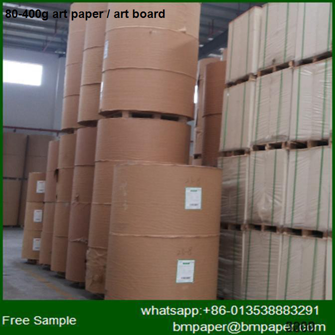 China BMPAPER Worth buying top quality reasonable price best band Test Liner Paper on sale