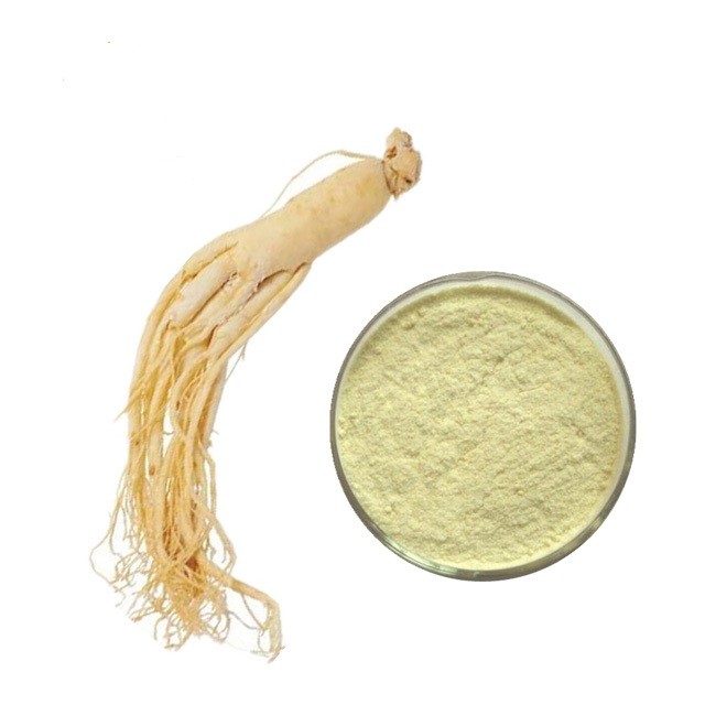 China High Quality Korean Red Ginseng Root Extract 20% Ginsenosides Red Ginseng Extract on sale