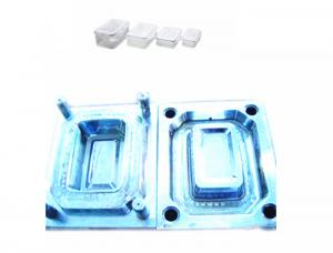 China Durable Clear Plastic Injection Molding , Professional Pmma Injection Molding on sale