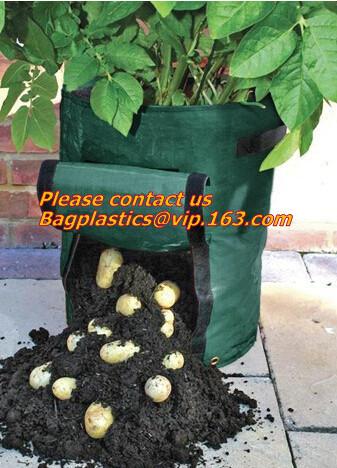 Cheap Horticulture, NURSERY, PLANTER, SEED, PLASTIC GROW BAGS, HYDROPONICS, FLOWERPOTS, BLACK for sale