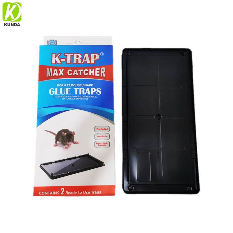 China Manufacturer Heavy Duty Sticky Glue Plastic Tray Rat Mouse  Glue Traps on sale