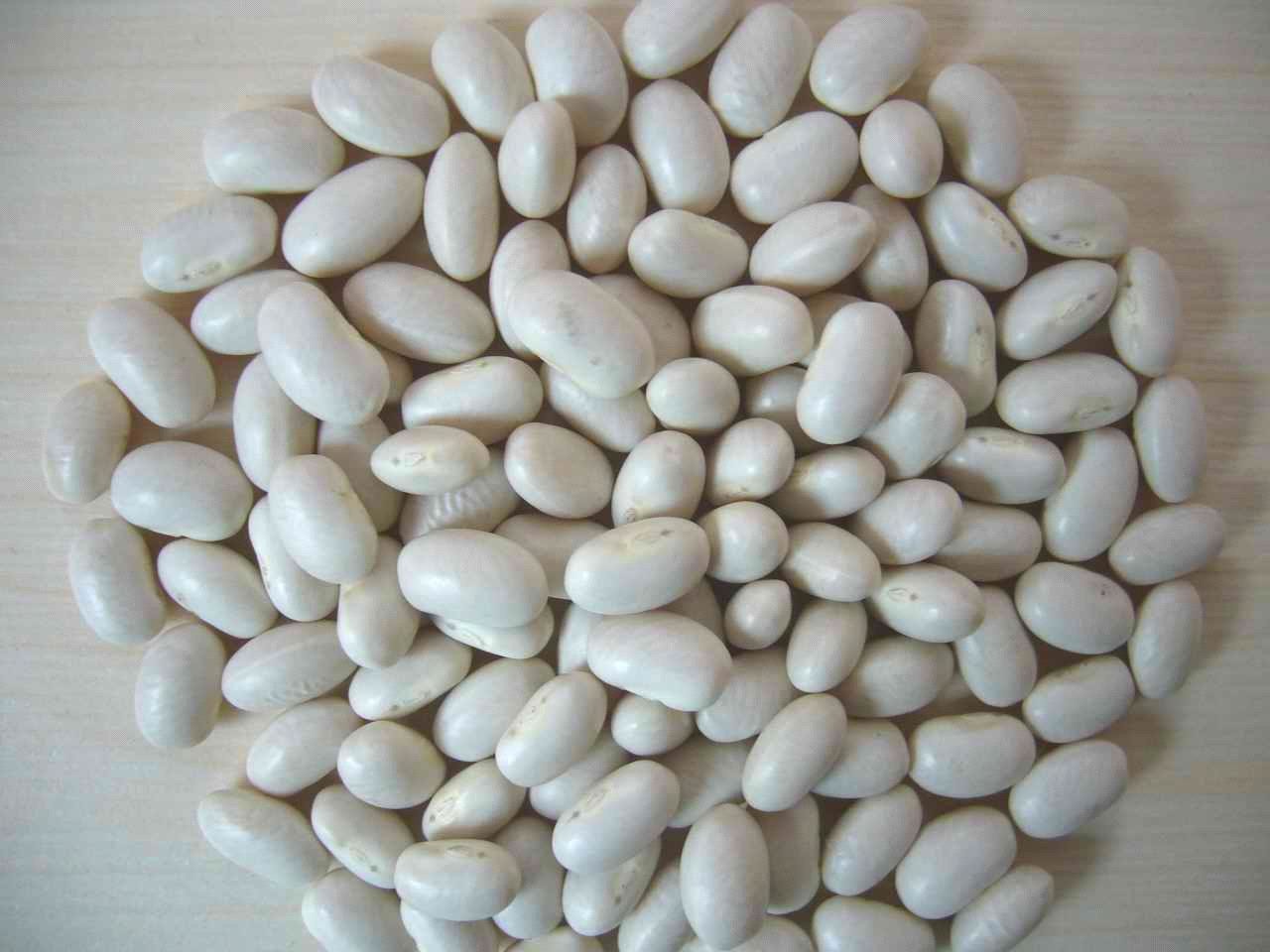 Best Good quality organic White Kidney Beans for good Price wholesale