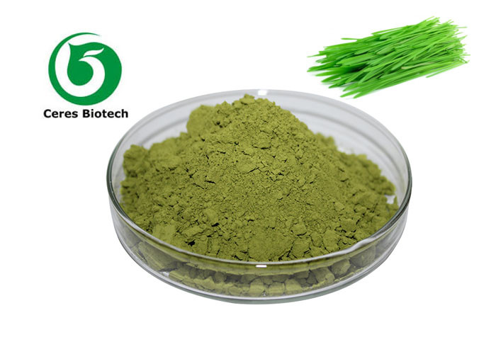 China Leaf Dried Vegetable Powder Natural Wheat Grass Juice Powder Green Fine Powder on sale