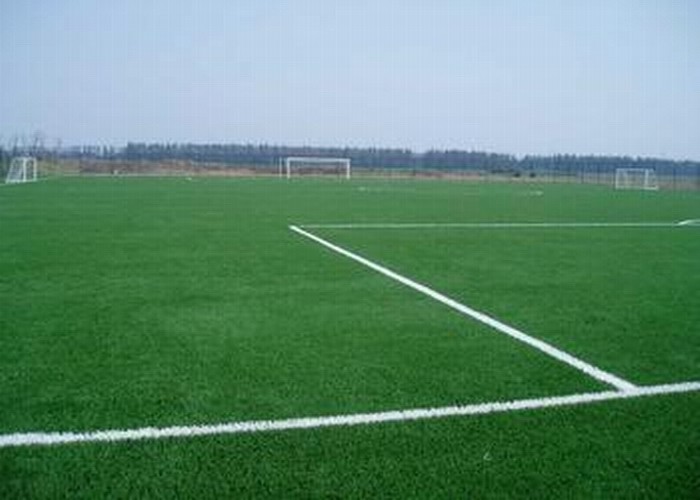 China 11000 Dtex 50mm Fake Garden Grass S Shape Green Artificial Sports Turf on sale