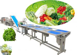 China Customized Vegetable Processing Equipment / Fruit And Vegetable Washer Machine on sale