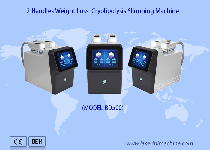 China 360 Degree Cryolipolysis 2 Handles Portable Weight Loss Machine on sale