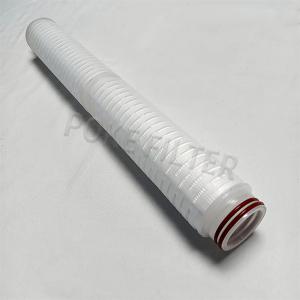 China Folded 0.2 Micron PTFE PP Water Filter Element Cartridge Replacement on sale