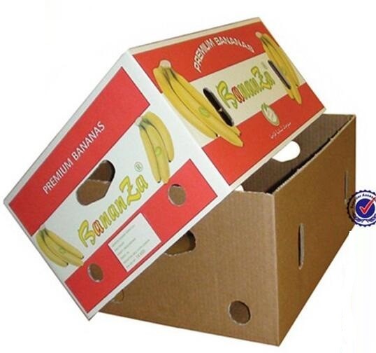 Best fruit carton, fruit case, fruit tray, New Custom Made Luxurious mobile phone Storage Packaging printed paper Box wholesa wholesale